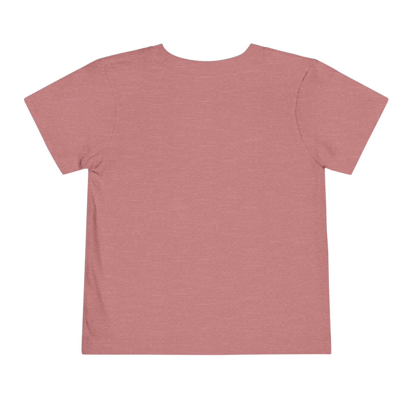 Toddler Short Sleeve T shirt